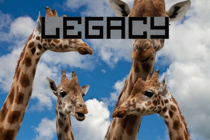 Legacy Font examples