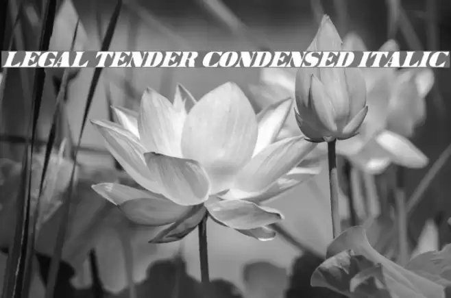 Legal Tender Condensed Italic Font examples