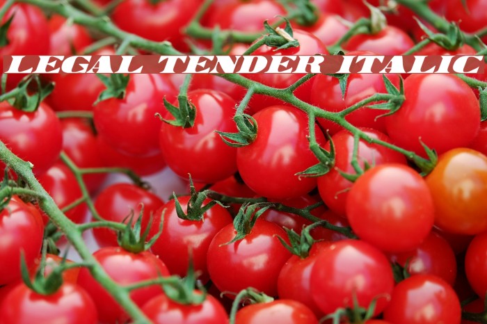 Legal Tender Italic Font examples