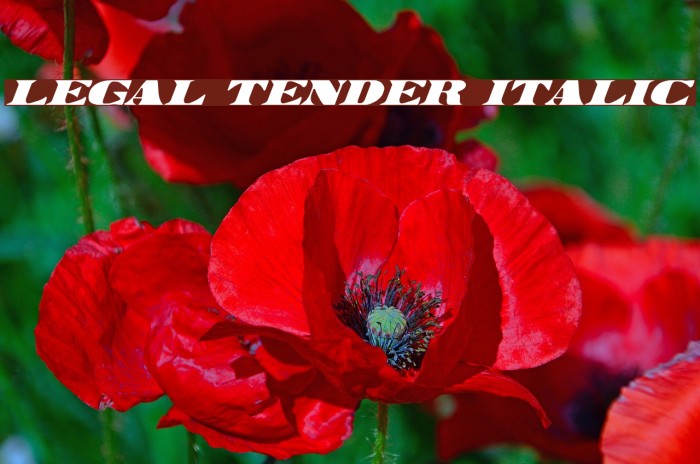 Legal Tender Italic Font examples