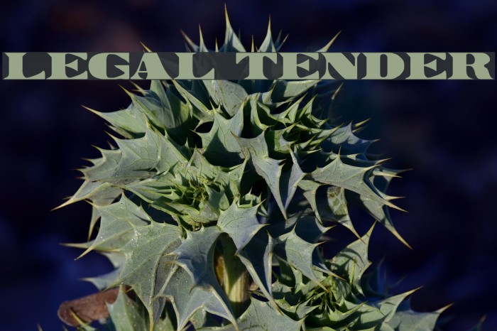 Legal Tender Font examples
