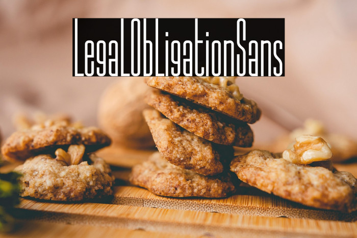 LegalObligationSans Example 1