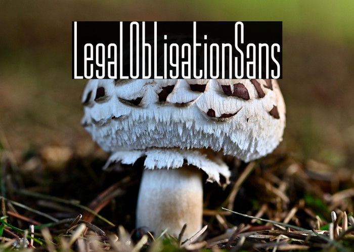LegalObligationSans Example 2