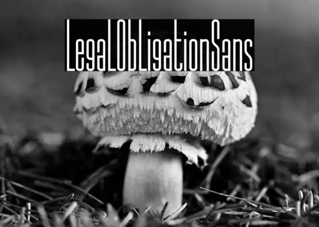 LegalObligationSans Example 2