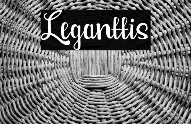 Leganttis Example 2