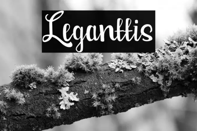 Leganttis Example 3