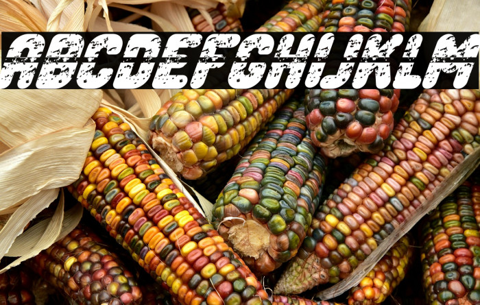 Legend Bold Italic Example 3