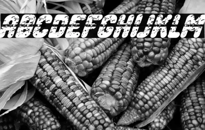 Legend Bold Italic Font examples