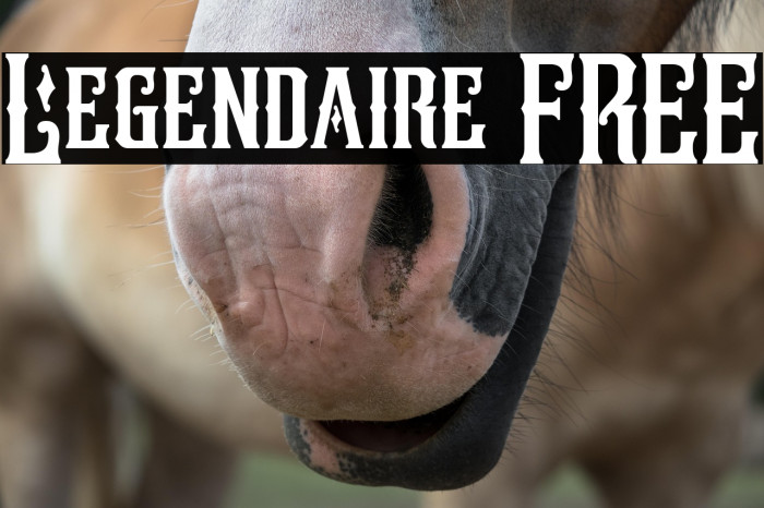 Legendaire FREE Example 1