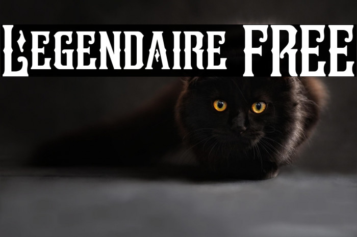 Legendaire FREE Example 2