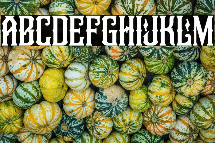 LegendaireFREE Example 1