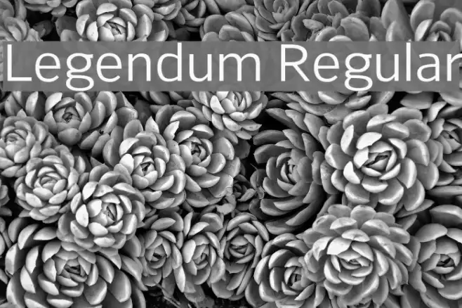 Legendum Regular Example 2