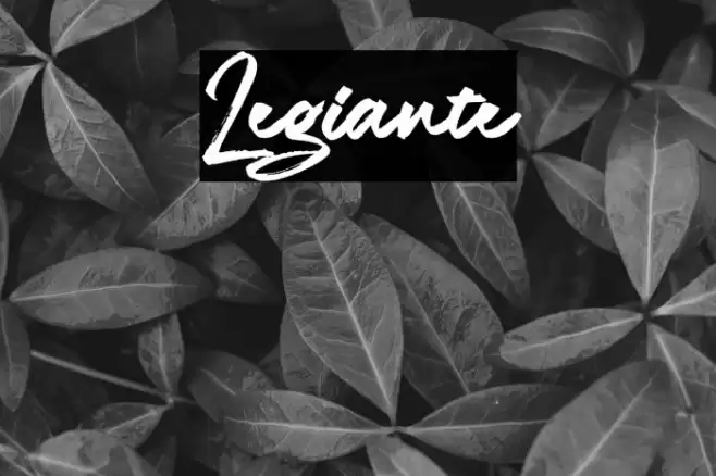 Legiante Font examples
