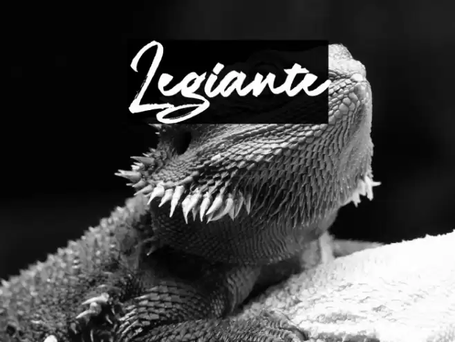 Legiante Font examples