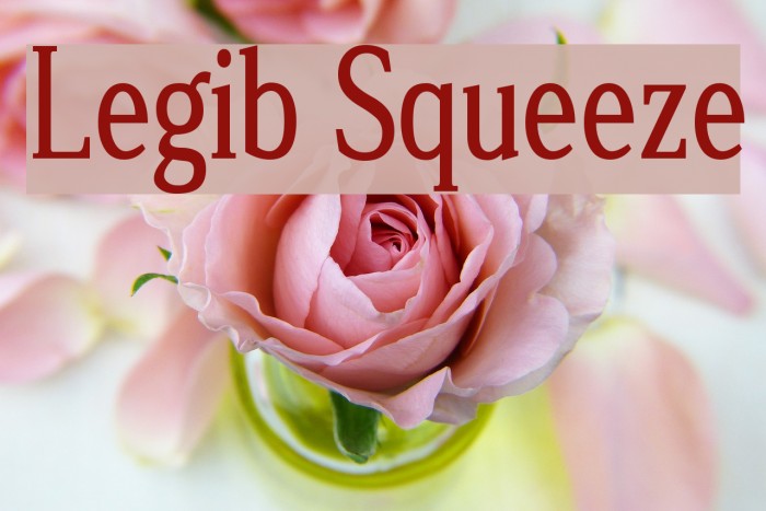 Legib Squeeze Font examples