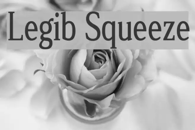 Legib Squeeze Example 1