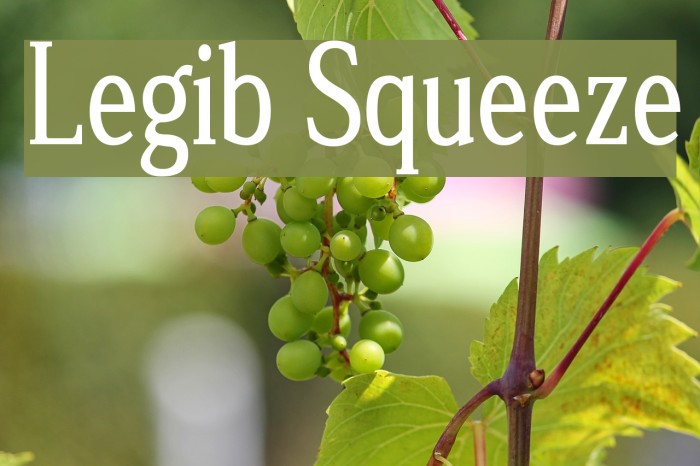 Legib Squeeze Font examples