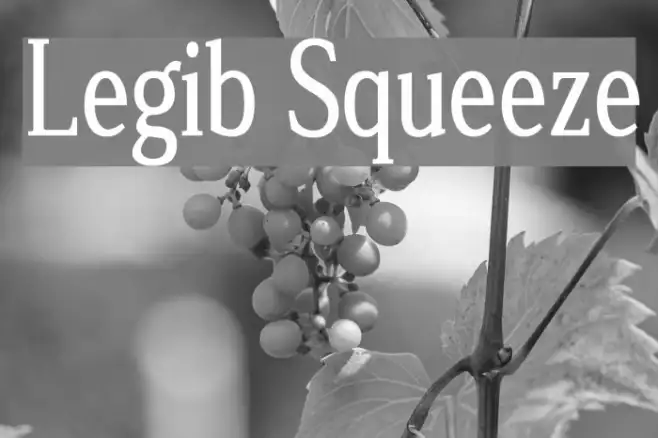 Legib Squeeze Example 2