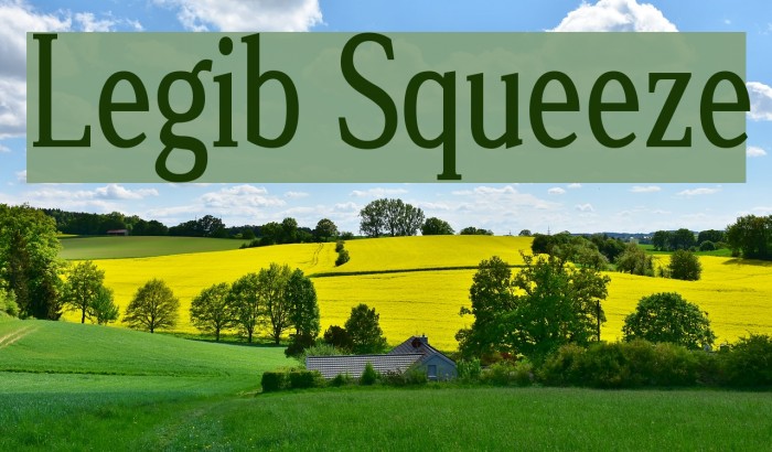 Legib Squeeze Font examples
