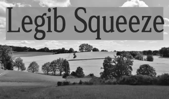 Legib Squeeze Example 3