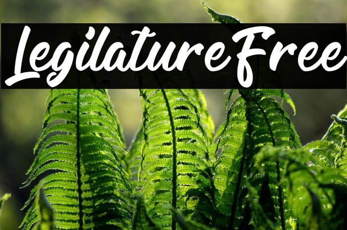 LegilatureFree Example 2