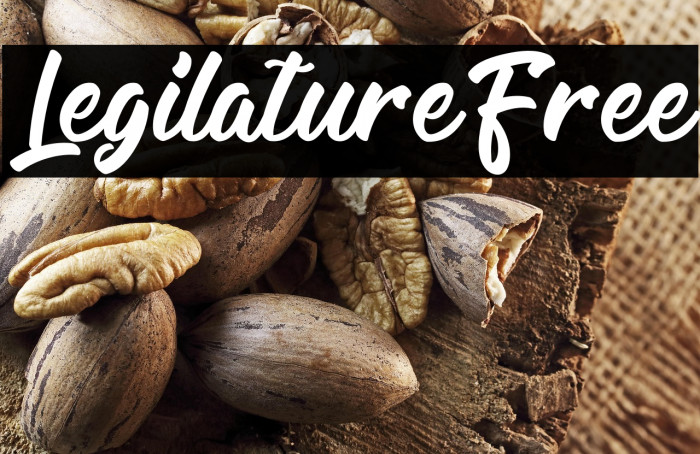 LegilatureFree Example 3