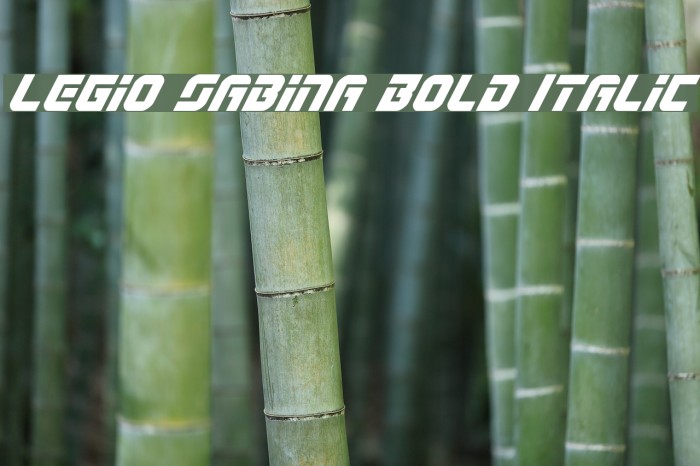 Legio Sabina Bold Italic Font examples