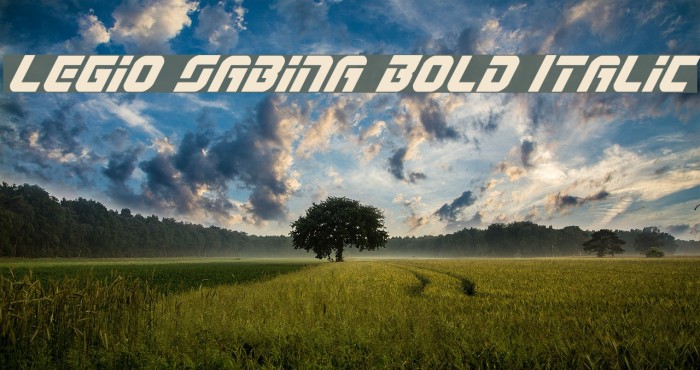Legio Sabina Bold Italic Font examples