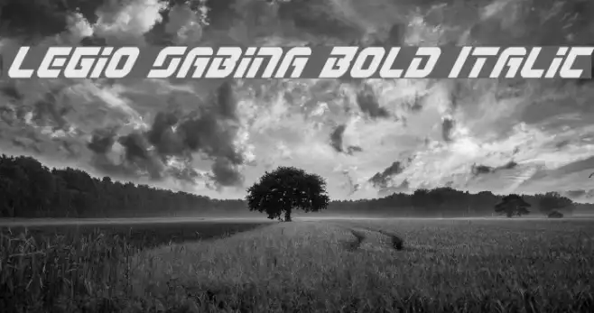 Legio Sabina Bold Italic Example 3
