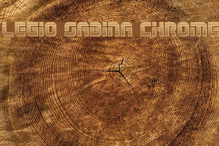 Legio Sabina Chrome Example 1