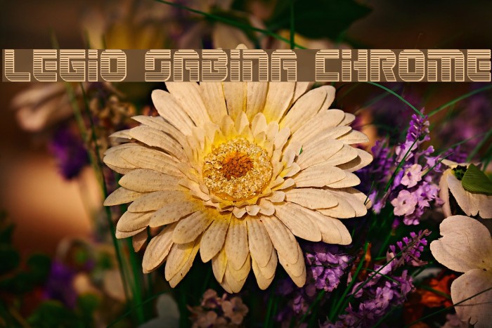 Legio Sabina Chrome Example 3