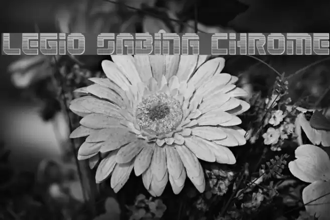 Legio Sabina Chrome Font examples