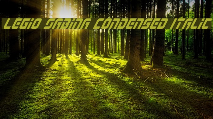 Legio Sabina Condensed Italic Font examples