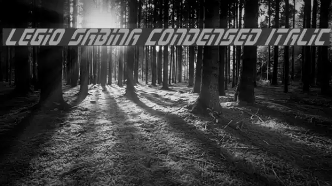 Legio Sabina Condensed Italic Font examples