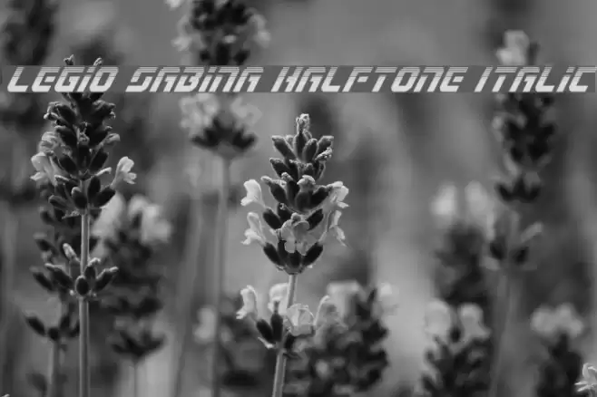 Legio Sabina Halftone Italic Font examples