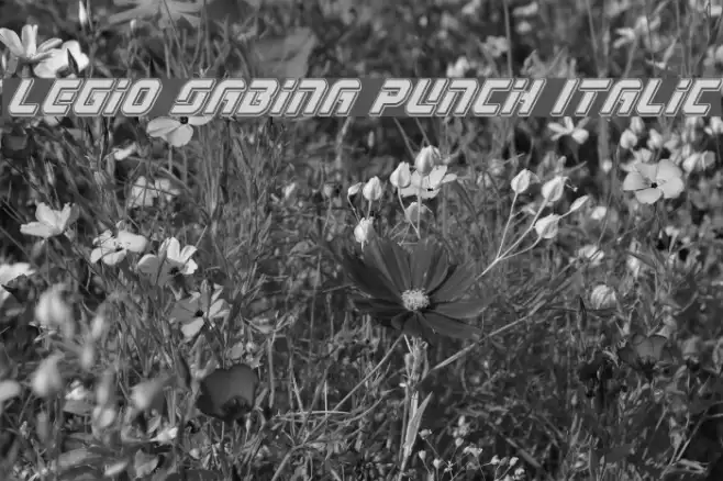 Legio Sabina Punch Italic Example 1