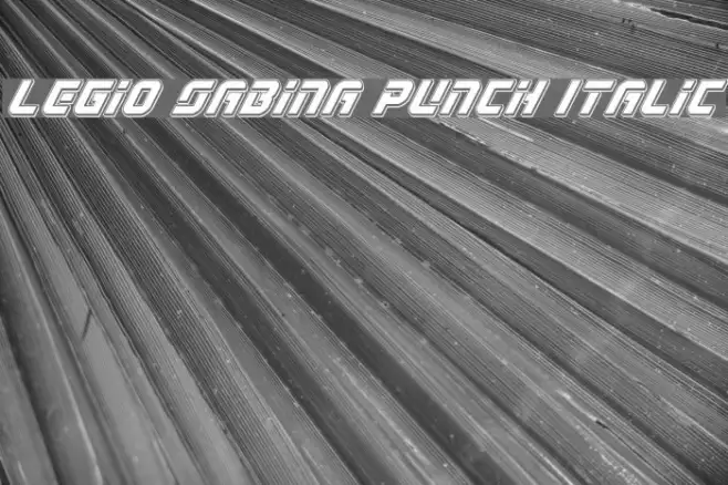 Legio Sabina Punch Italic Example 3