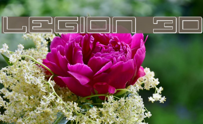 Legion 3D Font examples
