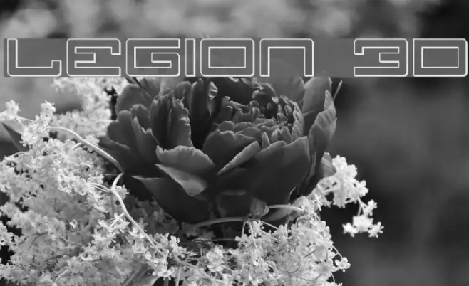 Legion 3D Example 2