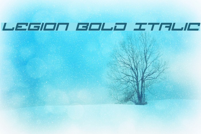 Legion Bold Italic Font examples