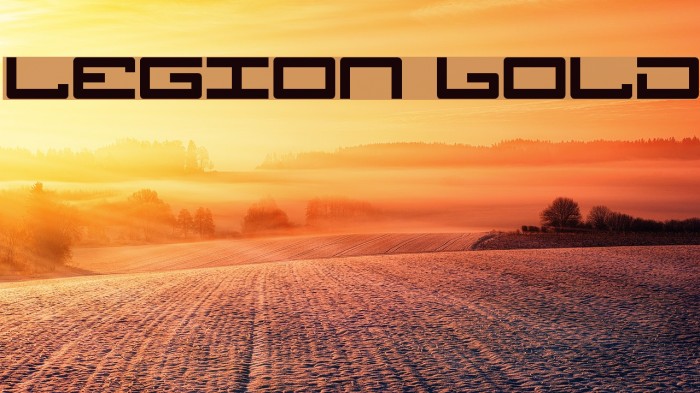 Legion Bold Font examples