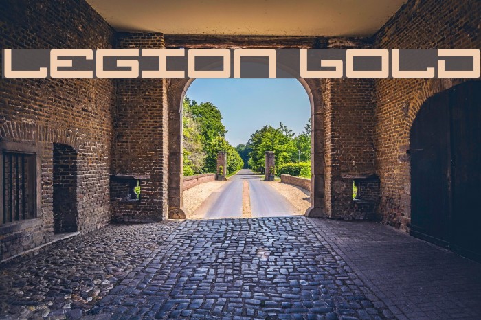 Legion Bold Font examples