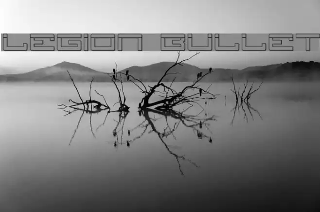 Legion Bullet Example 1