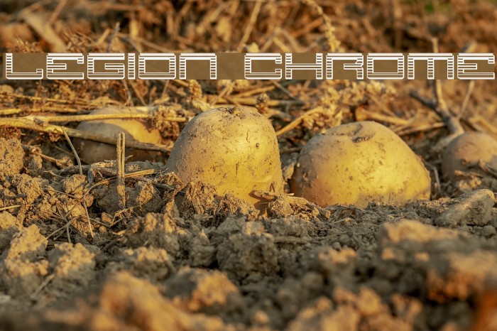 Legion Chrome Example 3