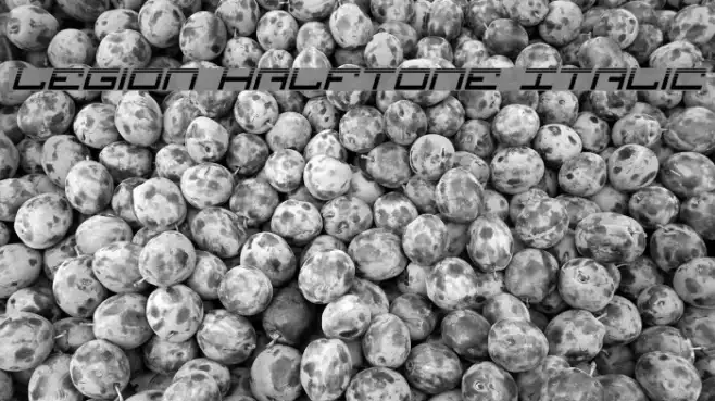 Legion Halftone Italic Example 3