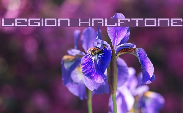 Legion Halftone Example 2