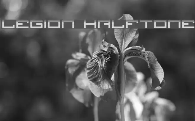 Legion Halftone Font examples
