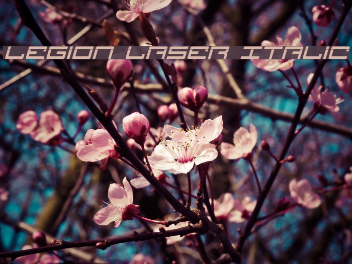 Legion Laser Italic Font examples