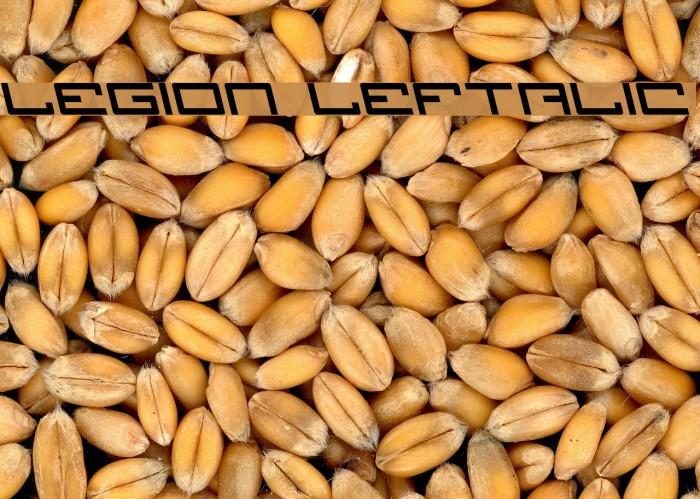 Legion Leftalic Font examples