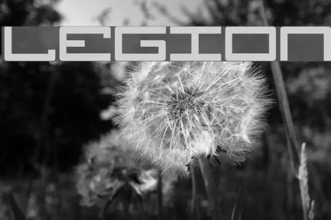Legion Example 3